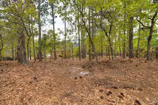 91 Old Still Rd, Columbia, SC 29223 - Photo 46