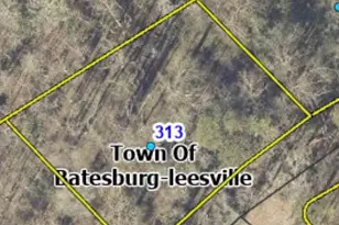 313 Chesterfield Ct, Leesville, SC 29070 - Photo 1