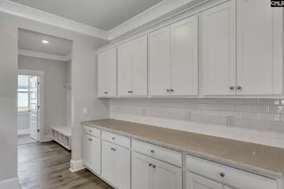 329 Still Shores Drive, Gilbert, SC 29054 - Photo 8