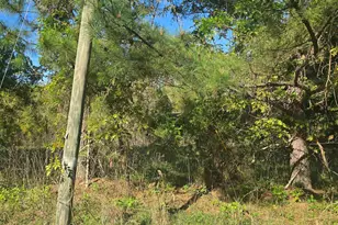 0000 St Barnabas Church Rd, Jenkinsville, SC 29065 - Photo 4