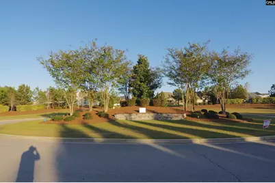 3003 Snail Seed Trail S, Lexington, SC 29073 - Photo 44