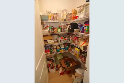 3003 Snail Seed Trail S, Lexington, SC 29073 - Photo 8