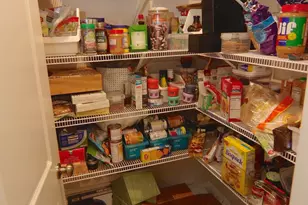 3003 Snail Seed Trail S, Lexington, SC 29073 - Photo 8