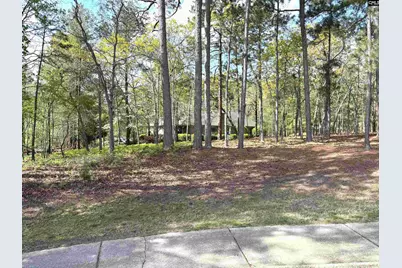 255 E Columbia Club Drive, Blythewood, SC 29016 - Photo 38