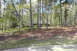 255 E Columbia Club Dr, Blythewood, SC 29016 - Photo 38