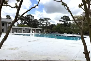 255 E Columbia Club Dr, Blythewood, SC 29016 - Photo 48