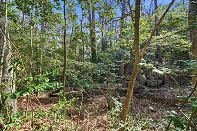 101 Stoney Brook Court, West Columbia, SC 29169 - Photo 38