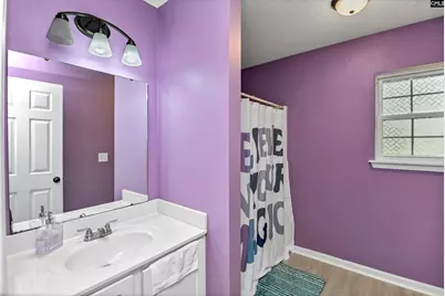 116 Wingspan Way, Chapin, SC 29036 - Photo 30