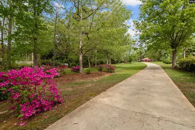 463 Ridge Road, Leesville, SC 29070 - Photo 6