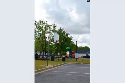 145 Honey Hill Court, Lexington, SC 29072 - Photo 26