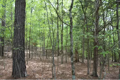 978 Rolling Hills Road, Ridgeway, SC 29130 - Photo 4