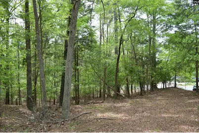978 Rolling Hills Road, Ridgeway, SC 29130 - Photo 2