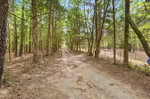 1941 Cedar Springs Rd, Blythewood, SC 29016 - Photo 32