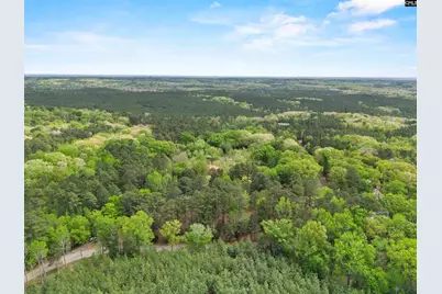 1941 Cedar Springs Road, Blythewood, SC 29016 - Photo 44