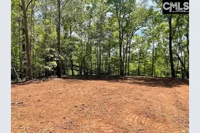 Lot 2 Highway 121, Silverstreet, SC 29145 - Photo 12