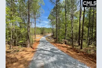 Lot 2 Highway 121, Silverstreet, SC 29145 - Photo 4