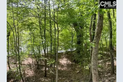 Lot 2 Highway 121, Silverstreet, SC 29145 - Photo 14