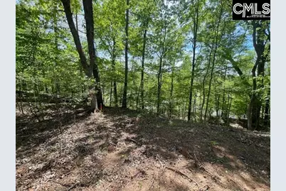 Lot 2 Highway 121, Silverstreet, SC 29145 - Photo 16