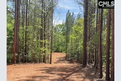 Lot 2 Highway 121, Silverstreet, SC 29145 - Photo 10