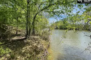 Lot 2 Hwy 121, Silverstreet, SC 29145 - Photo 1