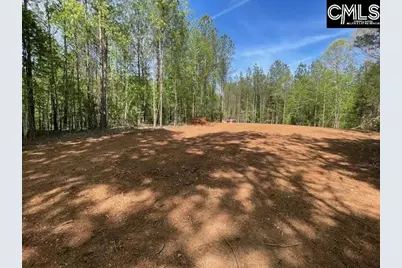 Lot 2 Highway 121, Silverstreet, SC 29145 - Photo 10