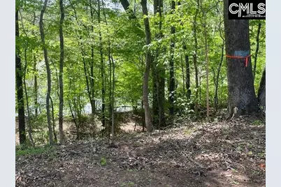 Lot 2 Highway 121, Silverstreet, SC 29145 - Photo 14