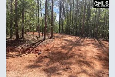 Lot 2 Highway 121, Silverstreet, SC 29145 - Photo 6