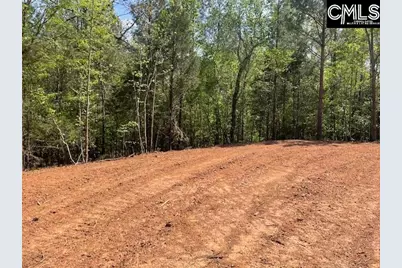Lot 2 Highway 121, Silverstreet, SC 29145 - Photo 12