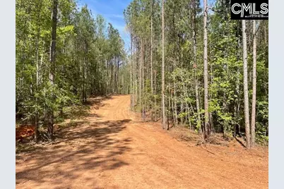 Lot 2 Highway 121, Silverstreet, SC 29145 - Photo 8