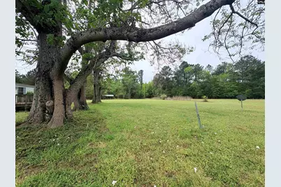 540 Justice Road, North, SC 29112 - Photo 40