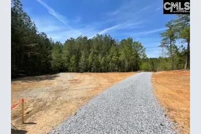 Lot 1 Highway 121, Silverstreet, SC 29145 - Photo 6