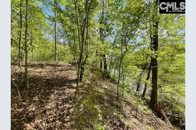 Lot 1 Highway 121, Silverstreet, SC 29145 - Photo 20