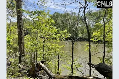Lot 1 Highway 121, Silverstreet, SC 29145 - Photo 16