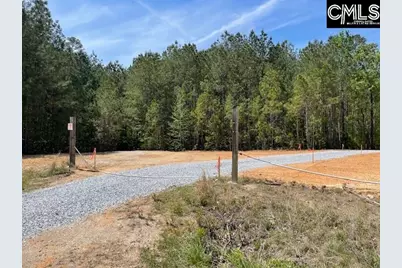 Lot 1 Highway 121, Silverstreet, SC 29145 - Photo 4