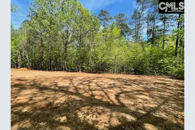 Lot 1 Highway 121, Silverstreet, SC 29145 - Photo 14