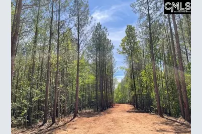Lot 1 Highway 121, Silverstreet, SC 29145 - Photo 14