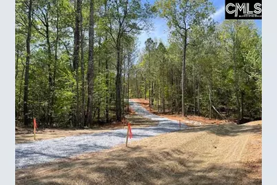Lot 1 Highway 121, Silverstreet, SC 29145 - Photo 8