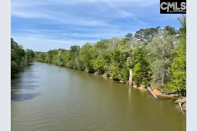 Lot 1 Highway 121, Silverstreet, SC 29145 - Photo 2