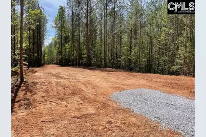 Lot 1 Highway 121, Silverstreet, SC 29145 - Photo 12