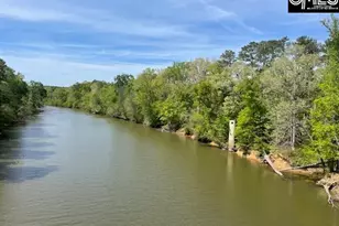 Lot 1 Hwy 121, Silverstreet, SC 29145 - Photo 1