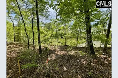 Lot 1 Highway 121, Silverstreet, SC 29145 - Photo 1