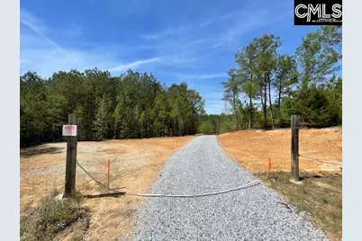 Lot 1 Highway 121, Silverstreet, SC 29145 - Photo 4