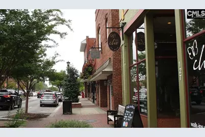 620 Thunder Gulch Avenue, Lexington, SC 29073 - Photo 34