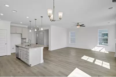 620 Thunder Gulch Avenue, Lexington, SC 29073 - Photo 6