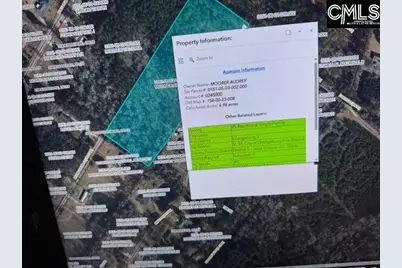 0 Moorecrum Road, Orangeburg, SC 29115 - Photo 1