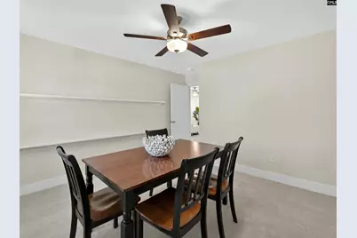 207 Murray Falls Lane, Chapin, SC 29036 - Photo 48