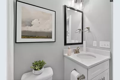 207 Murray Falls Lane, Chapin, SC 29036 - Photo 12