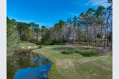 100 Birkdale Court, Lexington, SC 29072 - Photo 76