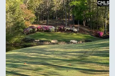 100 Birkdale Drive, Lexington, SC 29072 - Photo 76