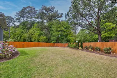 255 Flora Springs Circle, Columbia, SC 29223 - Photo 38